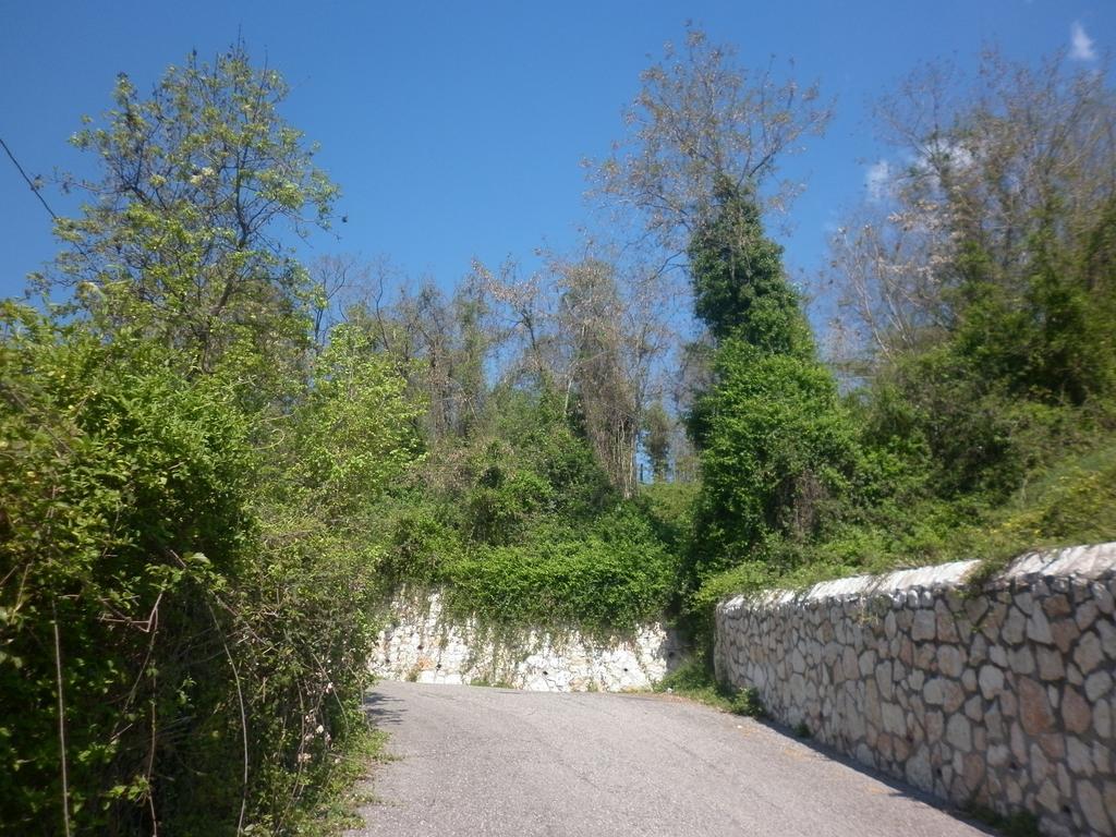 La Piccola Mimosa Διαμέρισμα SantʼAmbrogio di Valpolicella Εξωτερικό φωτογραφία
